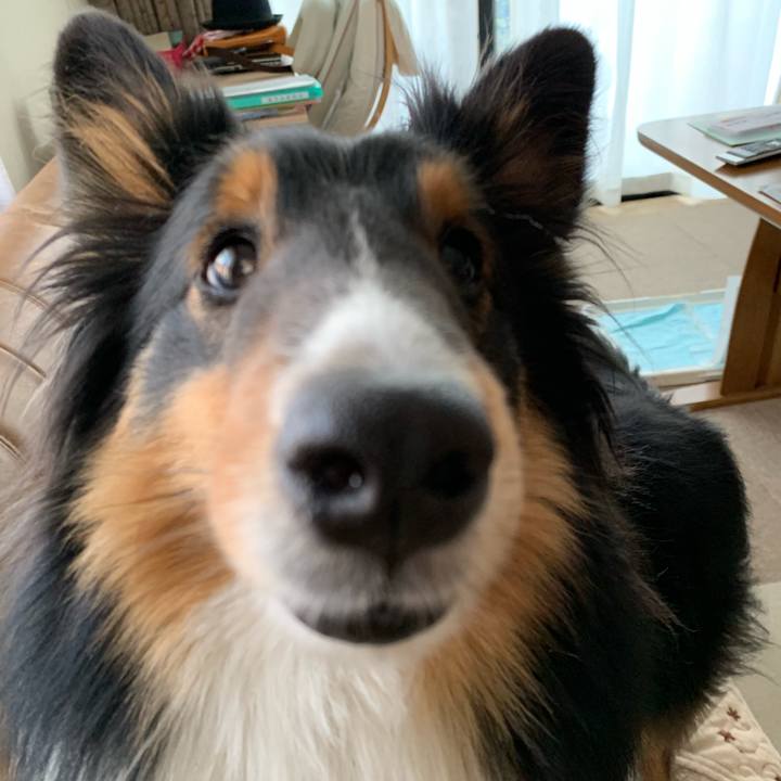 0af4c62a 45f9 40ef 87c7 0b6f56c8edb1 1553671308852