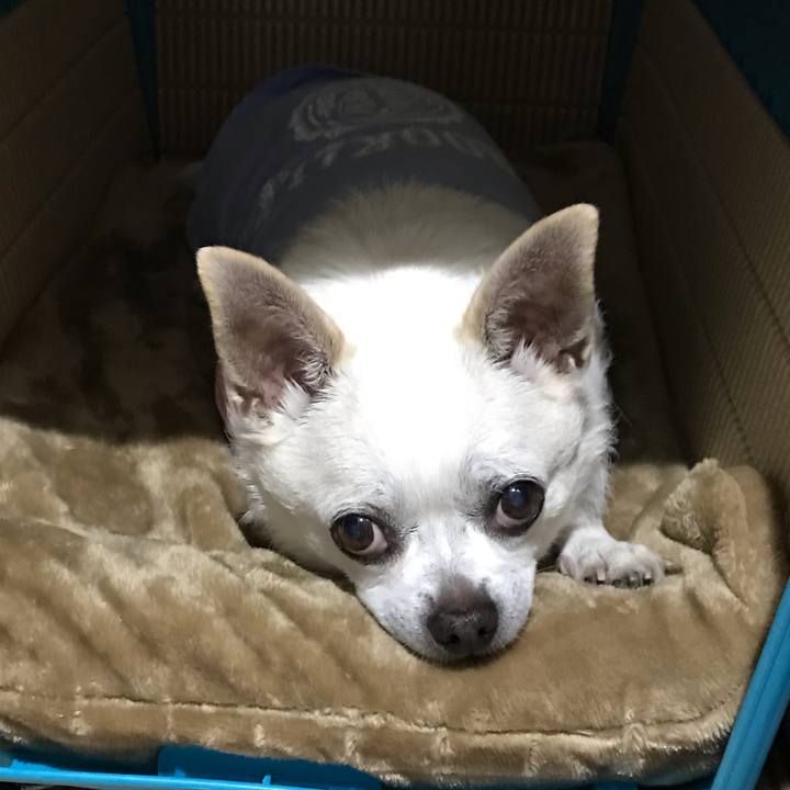 0af4eef7 b450 4e66 9bc6 977058dd7d9a 1592399122088