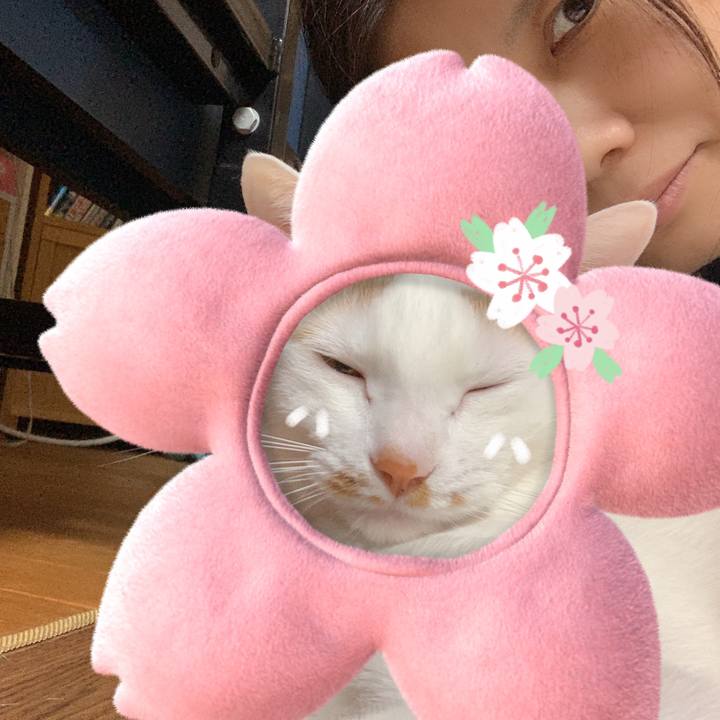 0af50b5a 0231 4f72 9178 0fa949f4cf61 1584716632343