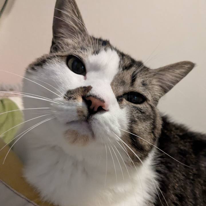 0af50f7a 2ccf 429b 967d cfbb7133d467 1738278464089