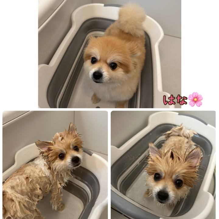 0af52fb0 b791 4b40 b728 9a6501ed86c6 1681016432281