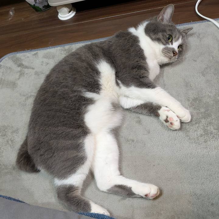 0af54f83 27f3 4de4 a386 d3b3f43be8d5 1747821931345