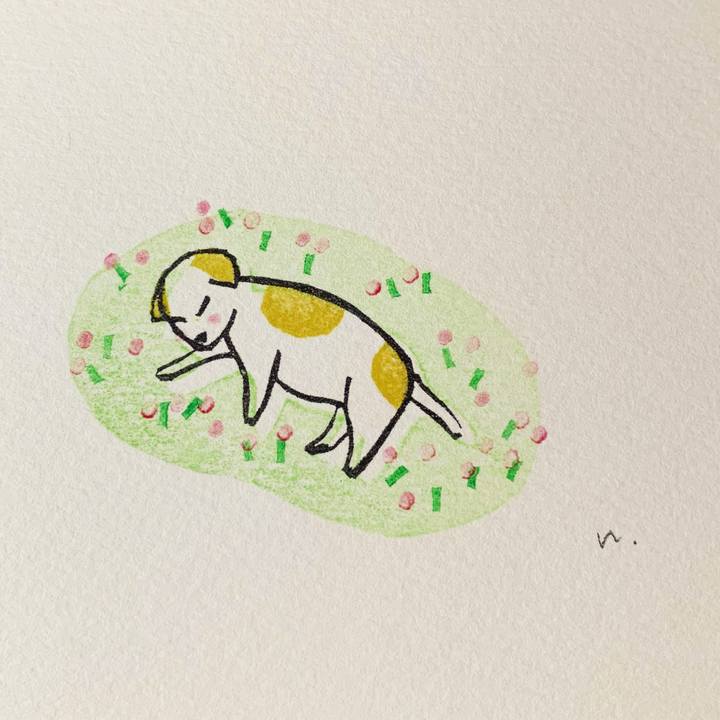 0af569fb 211a 44af 880b 85ce2f487866 1635772551111