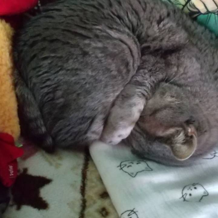 0af60332 7480 47c2 b470 07e07c02d956 1675833964444