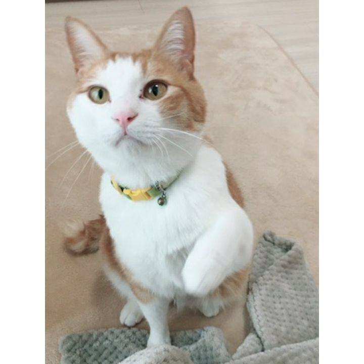 0af64d65 9917 40e7 9baf ed35e93c94bb 1525917364679