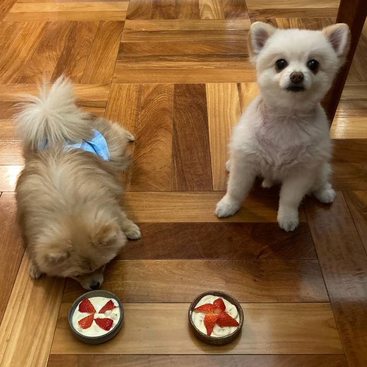 0af6686b 93dd 4036 aafc f6c2a103b255 1646912685023