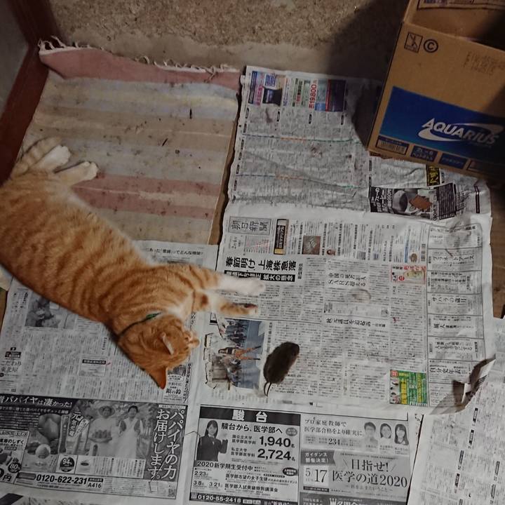 0af6705d 622e 4977 a462 12790215eea4 1584875199335