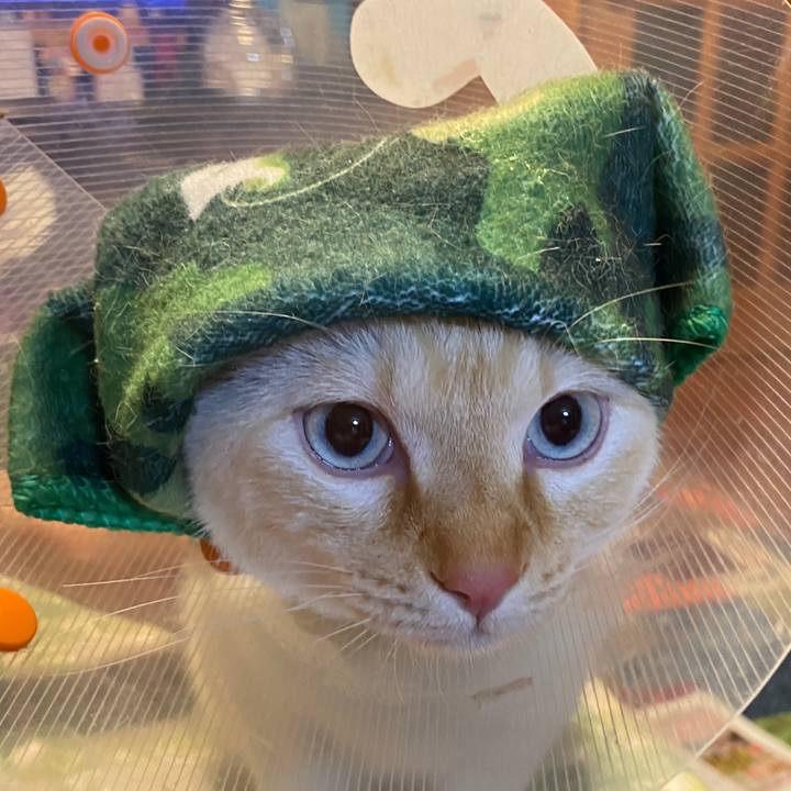 0af69090 614a 4dac 8a97 8f8263b3150c 1581175848827