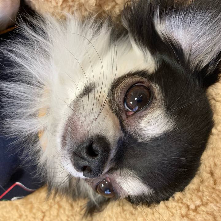 0af6922c c997 4d89 b18c 48b3cdd579e1 1643522162610