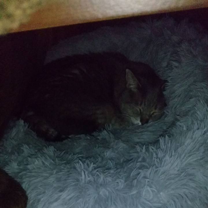 0af6b539 d531 41c8 9417 7ed7965e059e 1612748495443