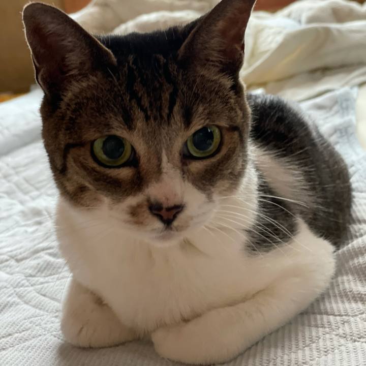 0af6c067 a998 4769 91c7 671f8b4e4290 1631756191393