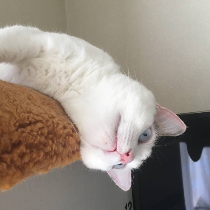 0af6e037 774f 4e66 9810 babf670ea413 1567296300080