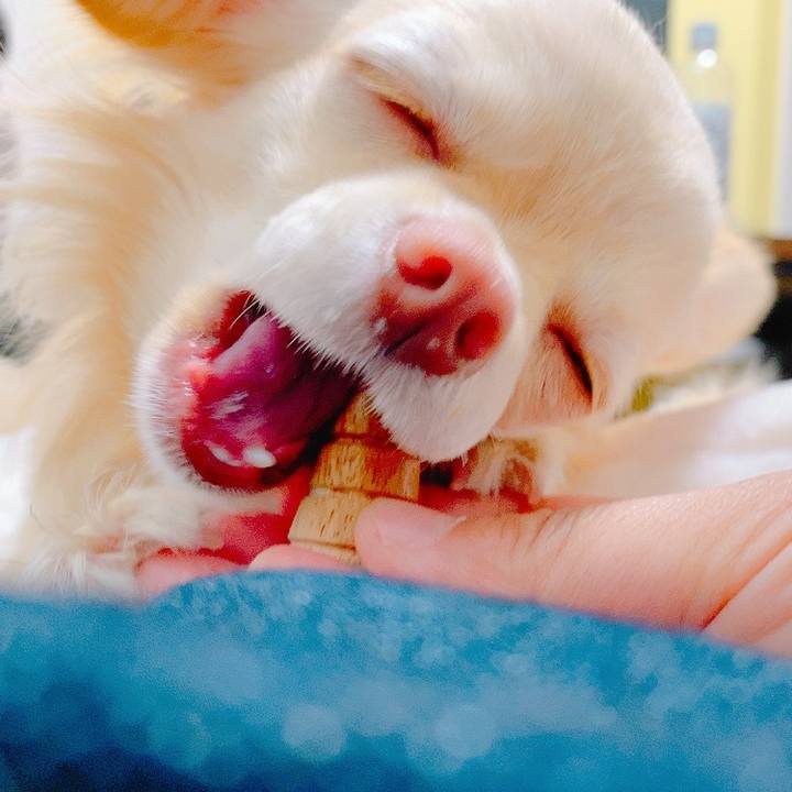 0af6fef6 6e00 4080 8f76 6e7e7d4775fa 1620808982015