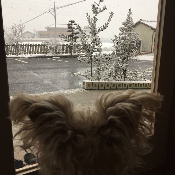 0af6ff5d 9a63 4e13 91b6 3ccf86ee505a 1517701899965