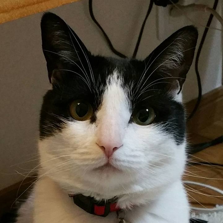 0af714fa 4ea9 4d3b a925 fcb7c9a91b18 1526513334925