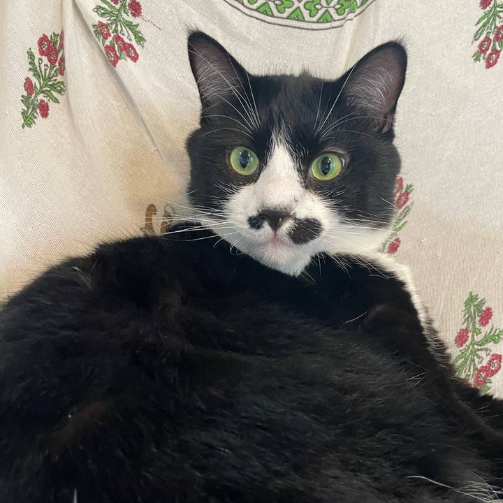 0af723bd 8490 4196 8d14 e20698c65c9f 1693783004903