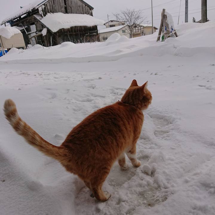 0af7415b 62aa 46cd 8758 ab45c7f03045 1608436832373