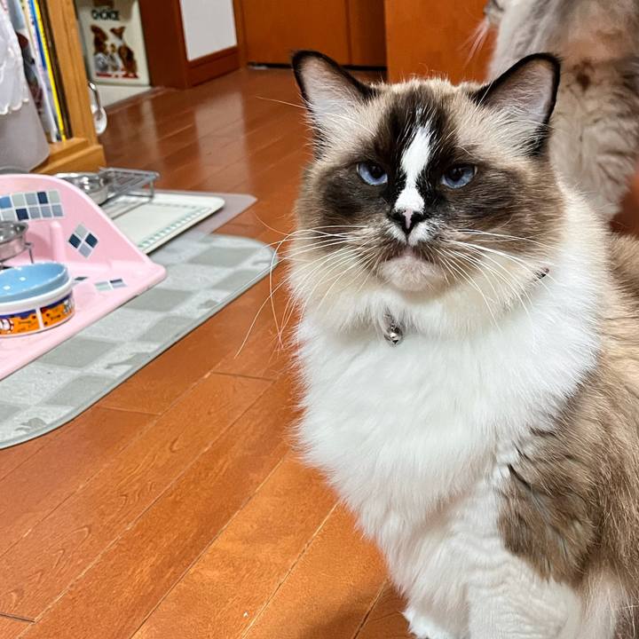 0af7aefb afc6 4962 8a2a 45dd2cd6b31c 1667465072912