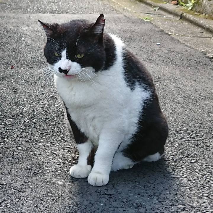 0af7bdba 989c 4c33 838f 03ed51727c7d 1628207848830