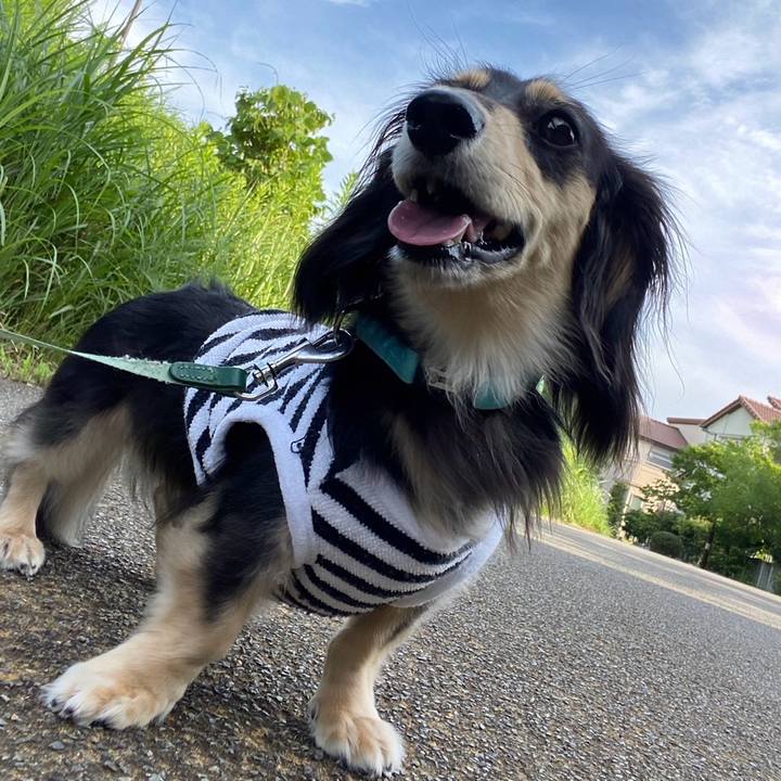 0af7ec52 6b52 4a58 988c bc88e3f50bb9 1721775084596