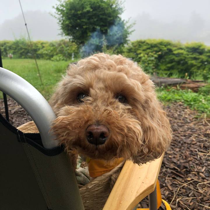 0af83471 eb45 4aeb b758 db67b3778311 1772115055299