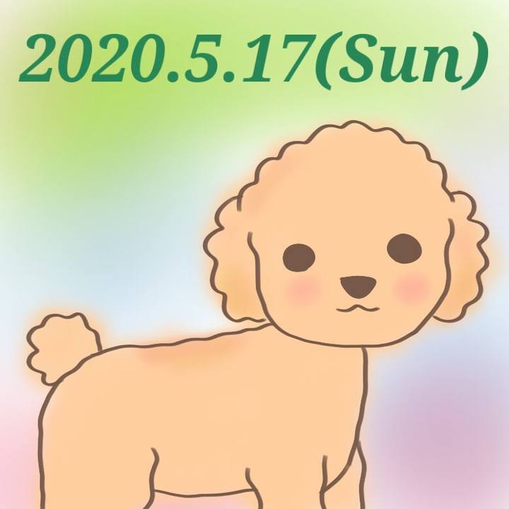 0af85b08 7638 4312 921b 724d08e2771e 1589701526858