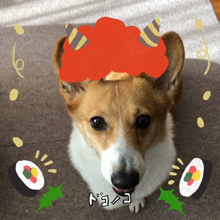 0af880ce c2a7 4431 938b ac147c7680cf 1706845110860