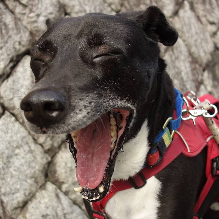 0af8ea28 ba9e 45fc bbe5 451c4bcff252 1680655803603