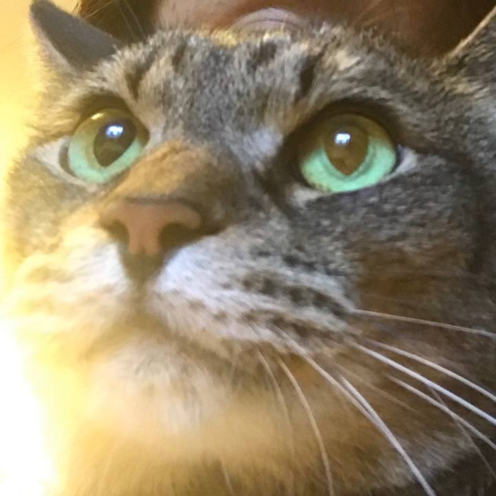 0af8fb5c c9ec 4bc9 9bd3 c88c5e2259d1 1529222385367