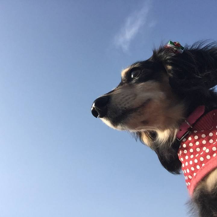 0af911c1 f8ff 4908 9538 f9c0964c7f32 1510705135111