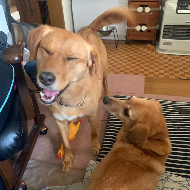 0af9758e db8d 481b 9452 3b3ceef42e5c 1624898308009