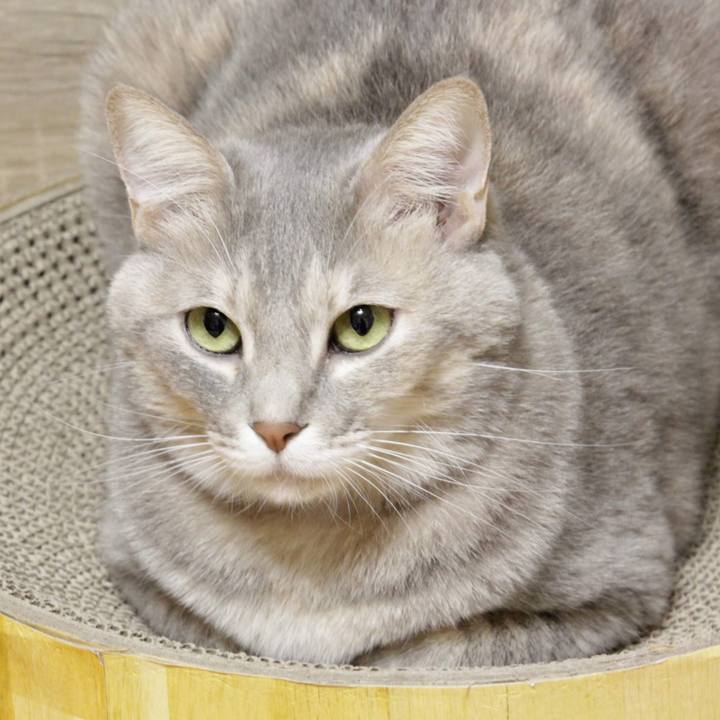 0af97a1d b511 445a 998c 2ce69c9308de 1576418018384