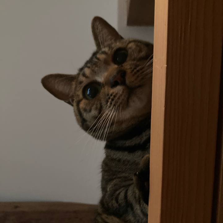 0af99772 a224 40d6 aee5 bd44be38b630 1736551537973