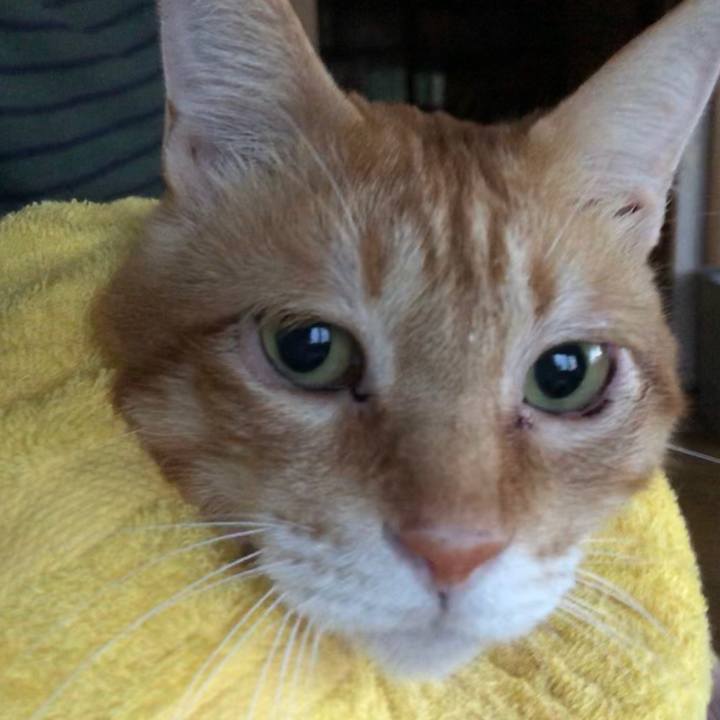 0af9c93e 81f6 4d7b 96cb 1dc593a061b6 1600806508912