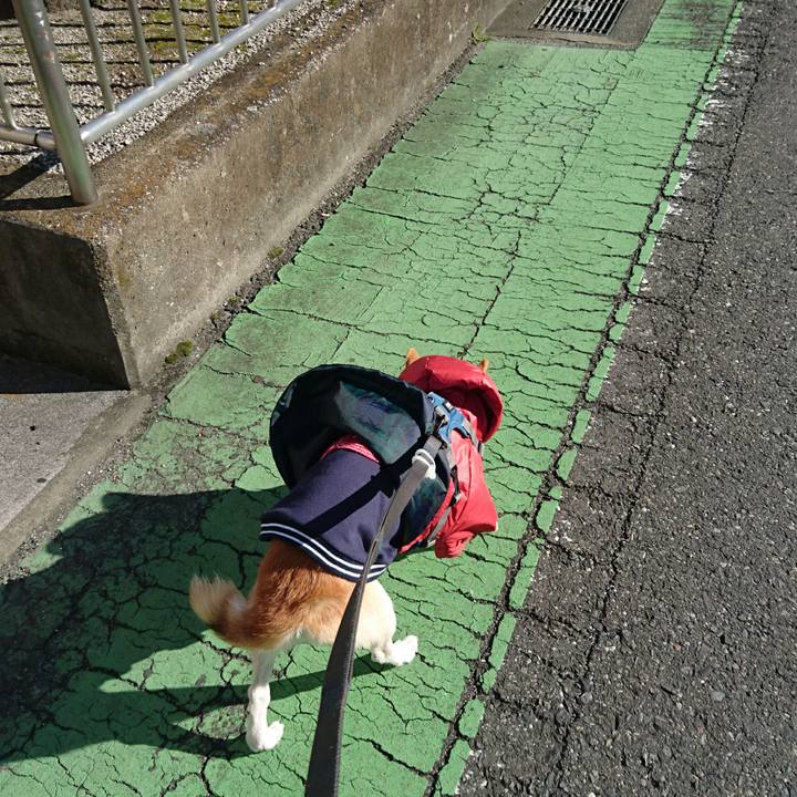 0af9cc92 b385 4273 a3fe 898b9e16fcf3 1576069374539