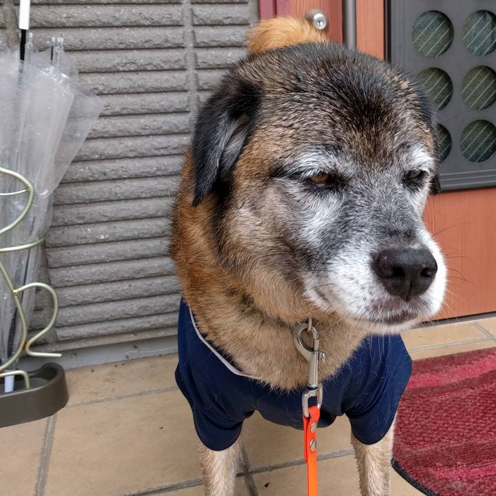 0af9e14f 75eb 46e7 af63 75931f7378ee 1532739178442