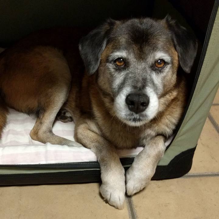 0afa2b23 f856 44e2 806d 85c902606967 1545868223750