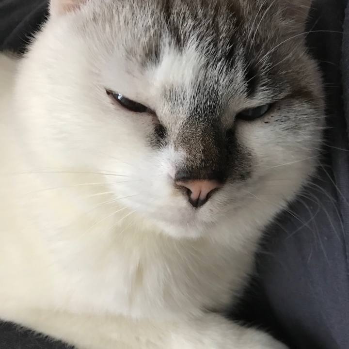 0afa6183 81c4 436f a529 6f2efd4e0a76 1515817580864