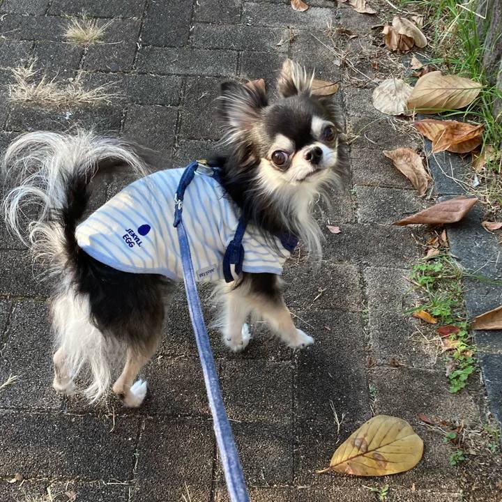 0afa6d91 6738 42a2 abc1 40ddc79f04fe 1667482571415