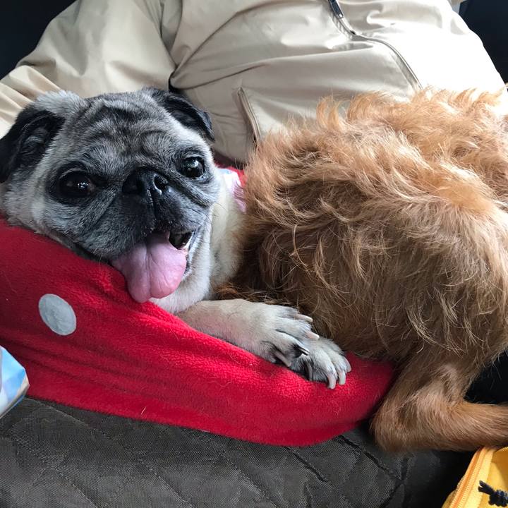 0afa6f3d cad4 4d65 a57e 6a9938540173 1563108269377