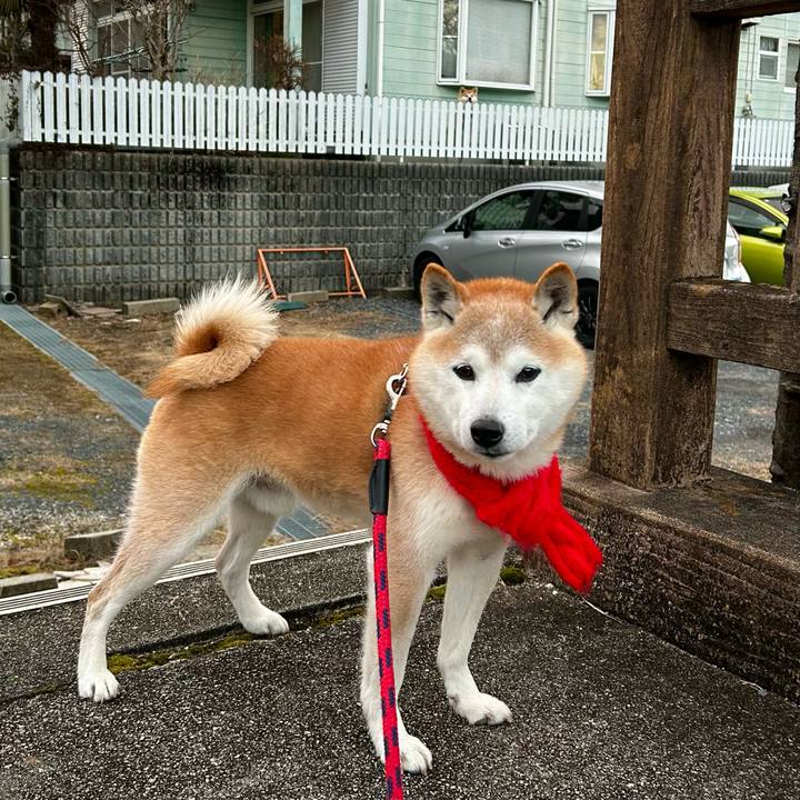 0afa70e2 a790 40f9 9487 6c153c8e7380 1768032878954