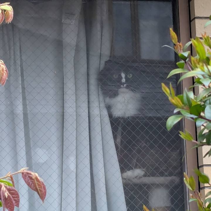 0afaaf88 ad3a 4451 b7d5 8154346628e5 1744237632875