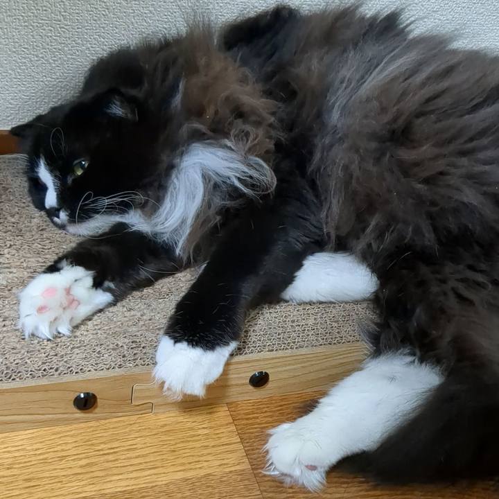 0afac87a ccc3 478c b4f5 e44a753ae52e 1696312448485