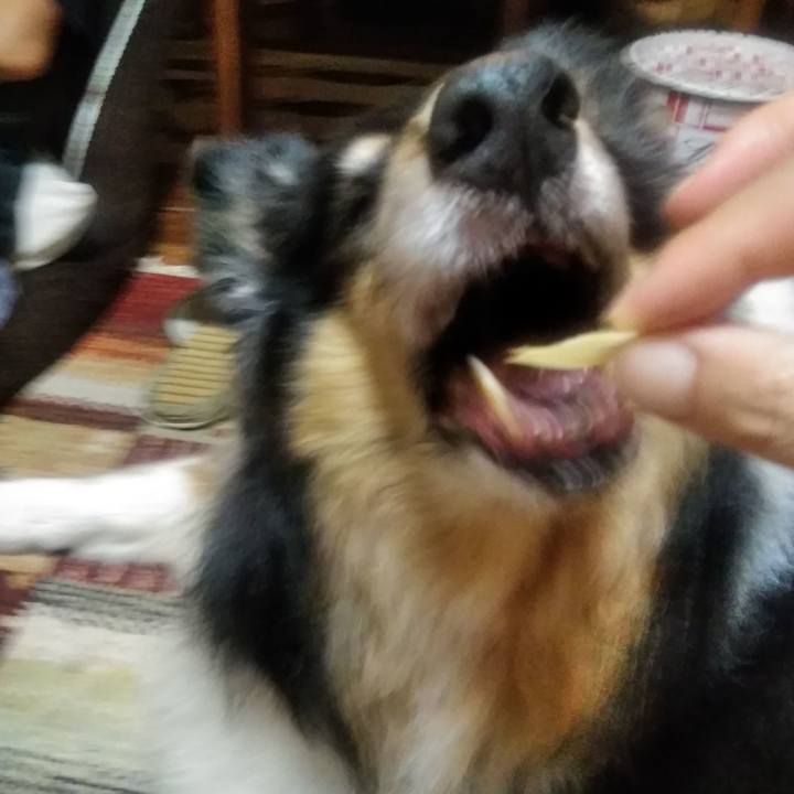 0afacc74 9ebd 40bb 81a3 80844dd06077 1530452619252