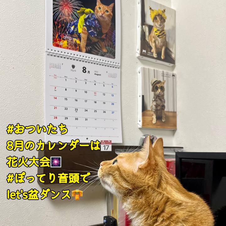 0afaf3f3 b879 4365 bfc2 d530b608b703 1659304106795