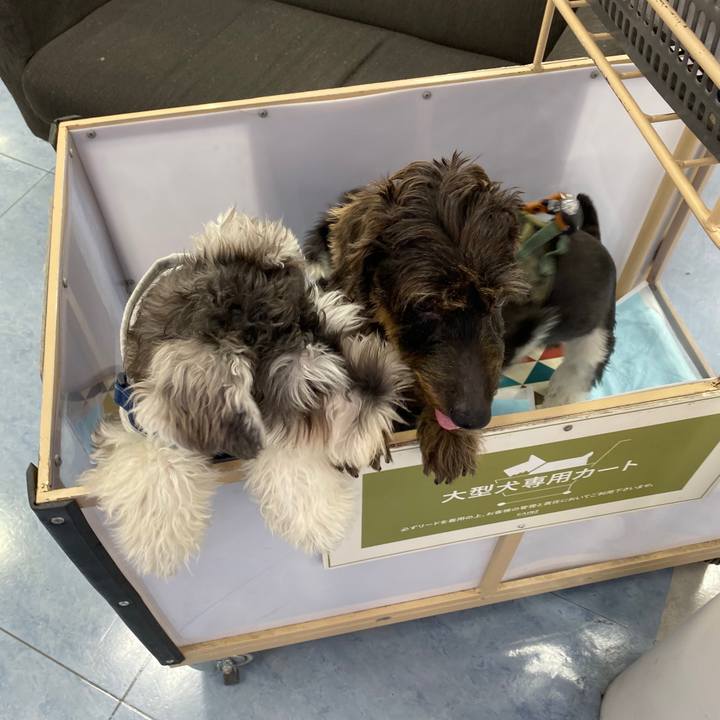 0afaf591 e105 4a0a b57b 6d99ab7c0e02 1572166533105