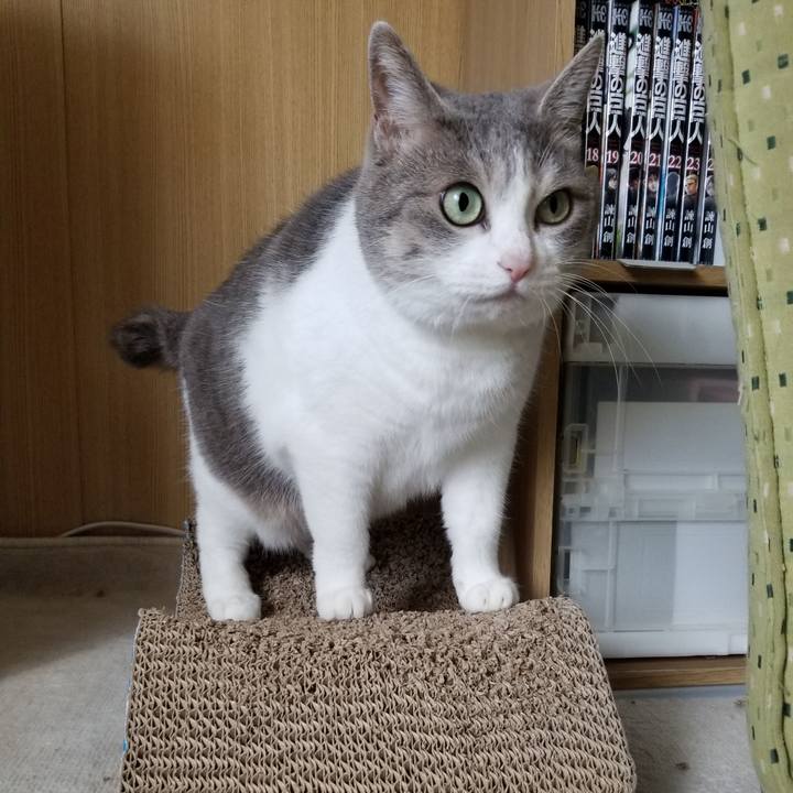 0afb0792 4fae 491a 8983 bd4bca35e88a 1665153281626