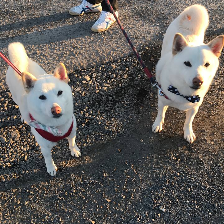 0afb138b 98bc 42f7 a59e 0faef7118d53 1517104461997