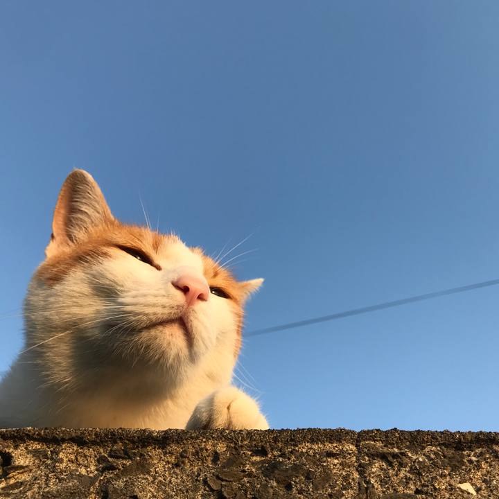 0afb26e1 ebf8 464c a2c0 55c83f84a2ff 1528020048396