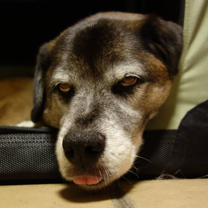 0afb4697 5eca 4621 af9e bdf4141a2467 1635987441282